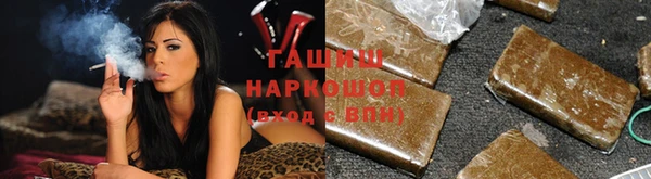 индика Абаза
