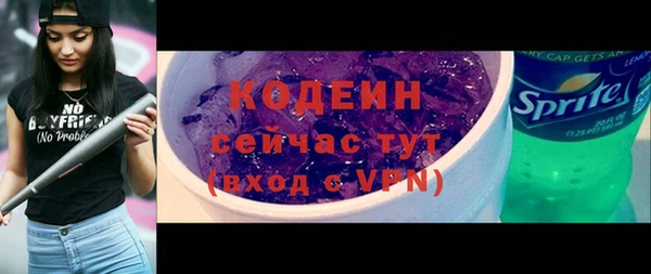 индика Абаза