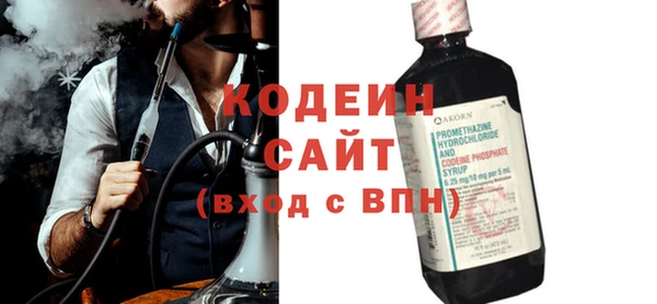 индика Абаза