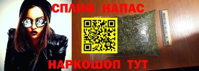 СК Магадан