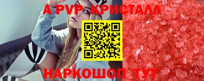 СК Магадан