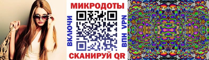 магазин продажи наркотиков  Алапаевск  Галлюциногенные грибы Psilocybe 