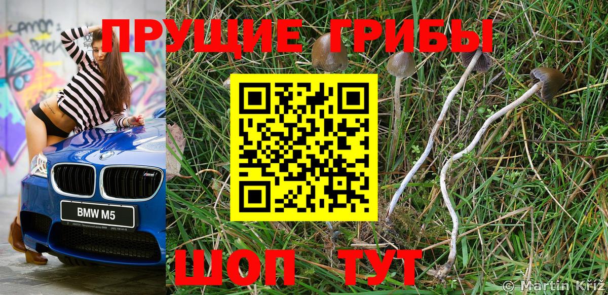 Алапаевск  Галлюциногенные грибы ЛСД  где можно купить   Вход с VPN 