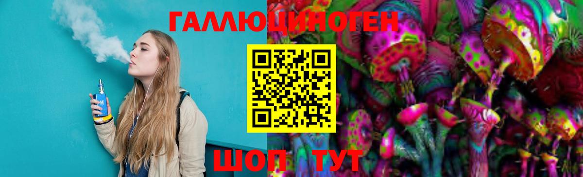 Псилоцибиновые грибы Psilocybe Алапаевск